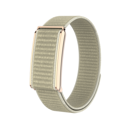 MOVE FITBAND ORO ROSA